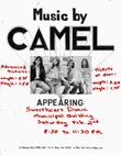 Camel poster circa 1973